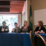 The Social Work Educators Panel